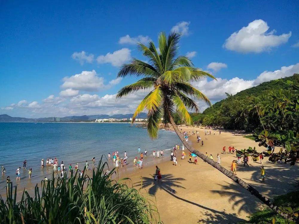 海南开放门户助力绿色发展，外交部发言人展望美好未来