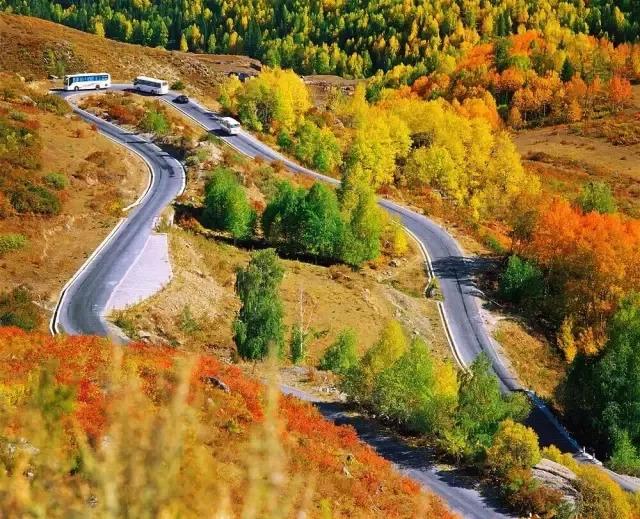 新疆，梦想绽放的舞台